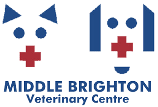 Middle Brighton Veterinary Centre